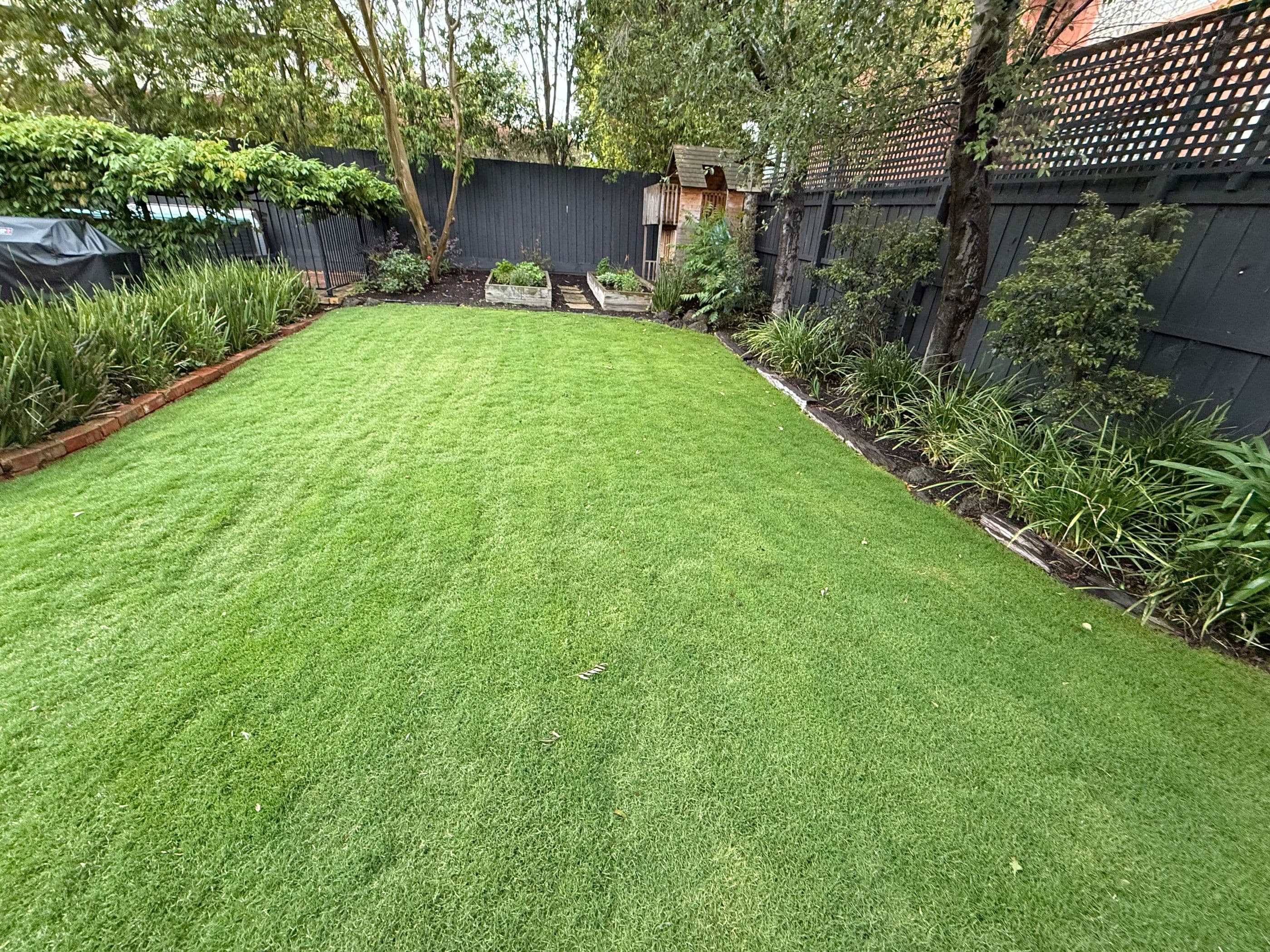 Striped Sir Walter buffalo lawn with crisp edges and planted garden beds in a Malvern backyard